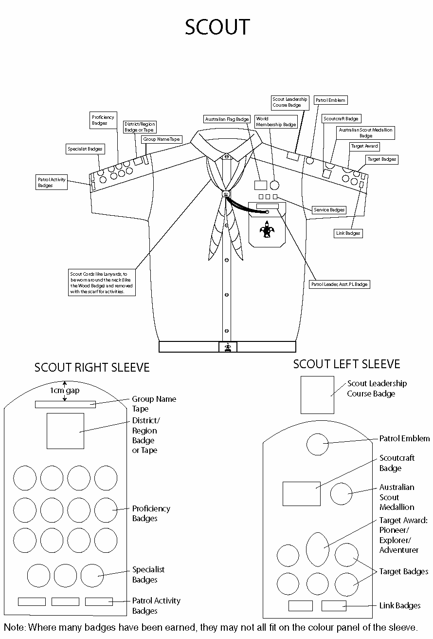 1st Avoca Beach Scout Group