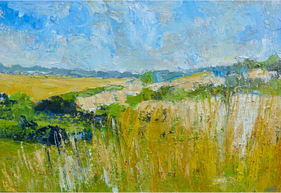 High Summer in the Chalke Downs