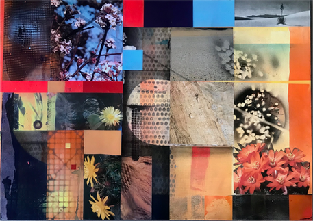 Desert Series 1