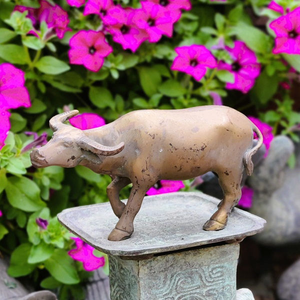 Thumbnail: Standing Water Buffalo Head Raised