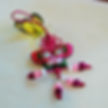 Butterfly Tassel