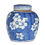Thumbnail: Snow Plum Ginger Jars