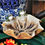 Thumbnail: Pond Life Ceramic Bowl