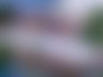 Der passende Rahmen für exklusive Events direkt am Zürichsee 🌅🎪