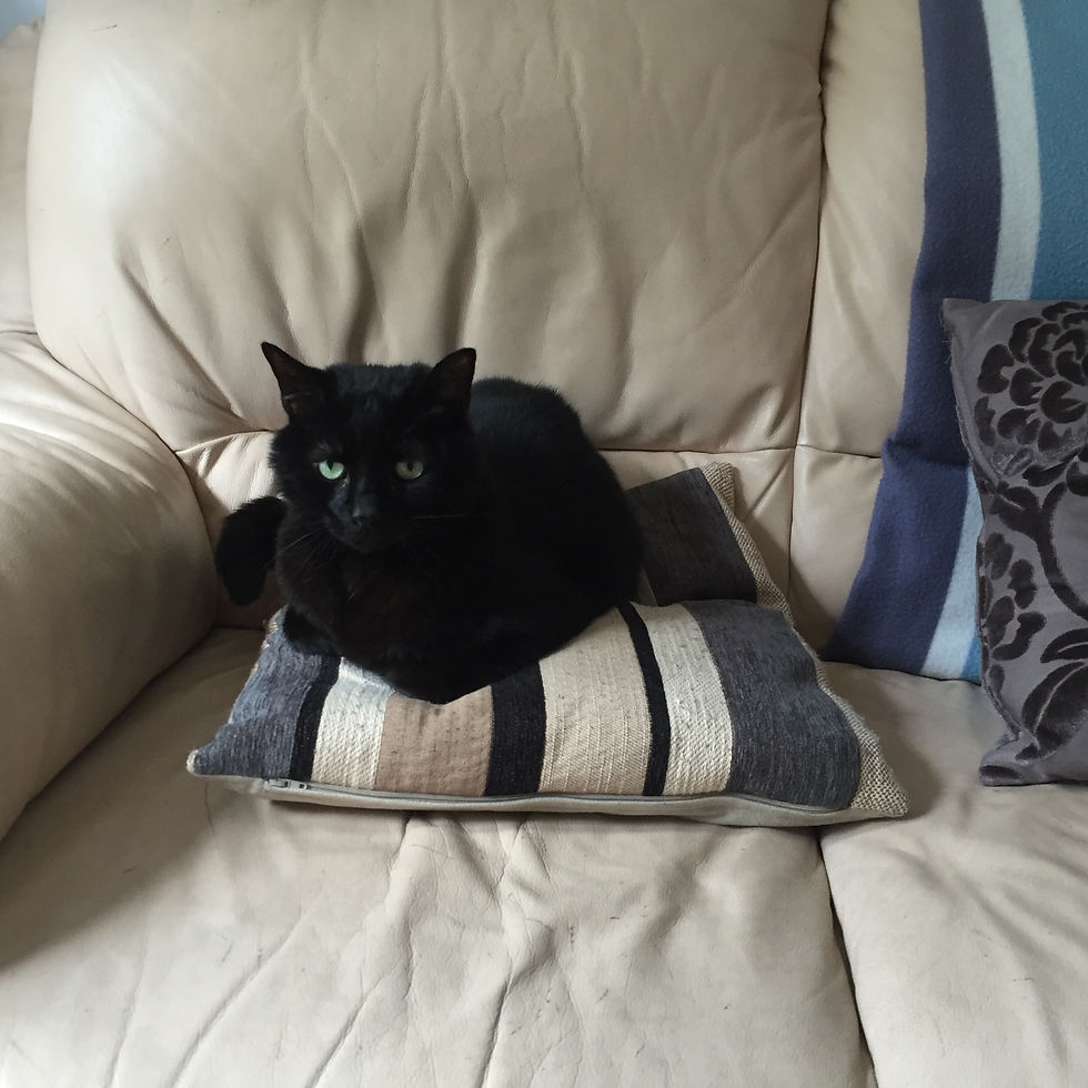 Ralph relaxing