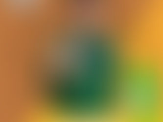 Resultados JEBS 2025