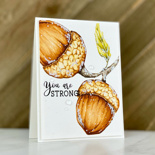 BB570 Big & Bold ~ Mighty Acorn | coloradocraftco