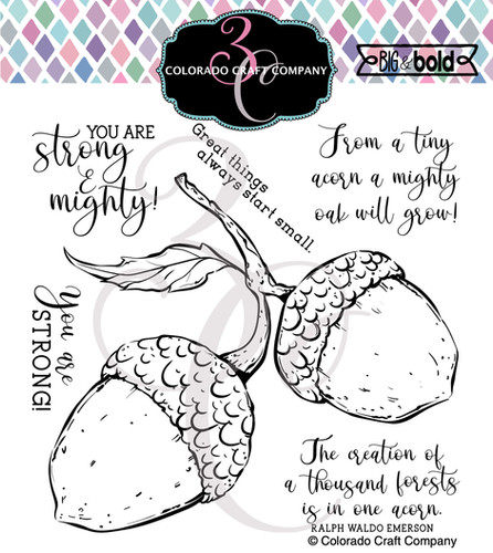 BB570 Big & Bold ~ Mighty Acorn | coloradocraftco
