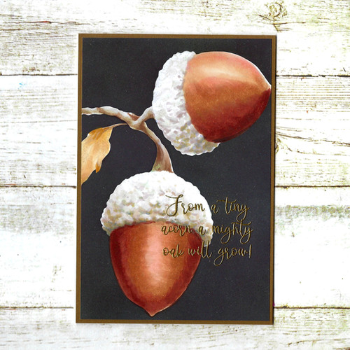 acornページです°・*:.。.☆ BB570 Big & Bold ~ Mighty Acorn | coloradocraftco