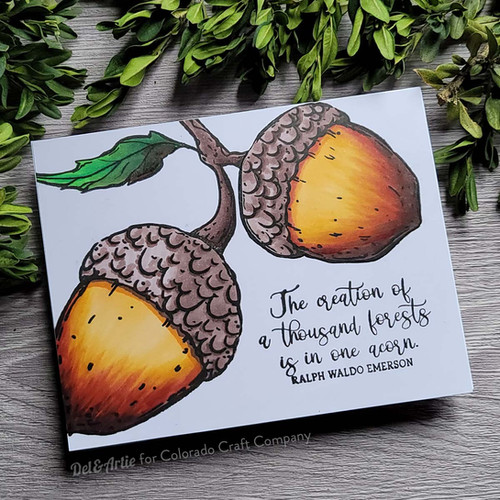 BB570 Big & Bold ~ Mighty Acorn | coloradocraftco