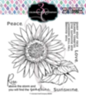 BB599469 Big & Bold Sunflower Bundle