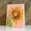 Thumbnail: Big & Bold~Ukraine's Sunflower