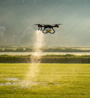 XAG-P100-Precision-Agriculture-Drone-Spraying-Rice-Paddy.jpeg