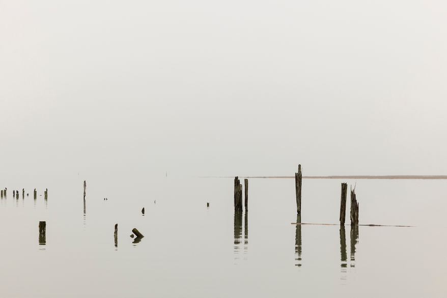 Brunswick Pt pilings.jpg