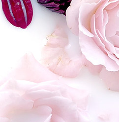 Milk and Flower Bath_edited.jpg
