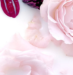 Milk and Flower Bath_edited.jpg
