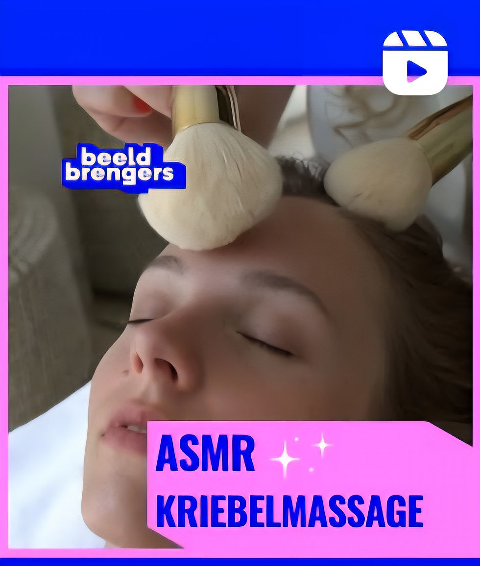 Video Beeldbrengers Gelderland