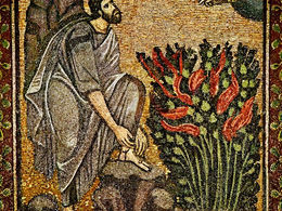 Moses: Intercede for Me