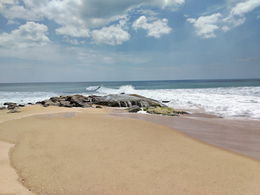 Life and Death at the Water's Edge
