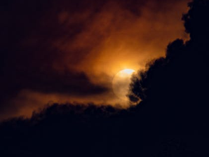 Waking Up to Hope and Dread