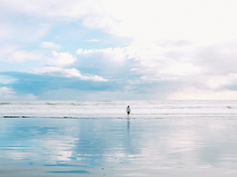 A woman walking into the water at a beach.