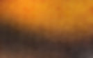 oranzhevyy-cvet-gradient.jpg