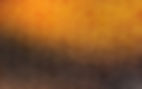 oranzhevyy-cvet-gradient.jpg