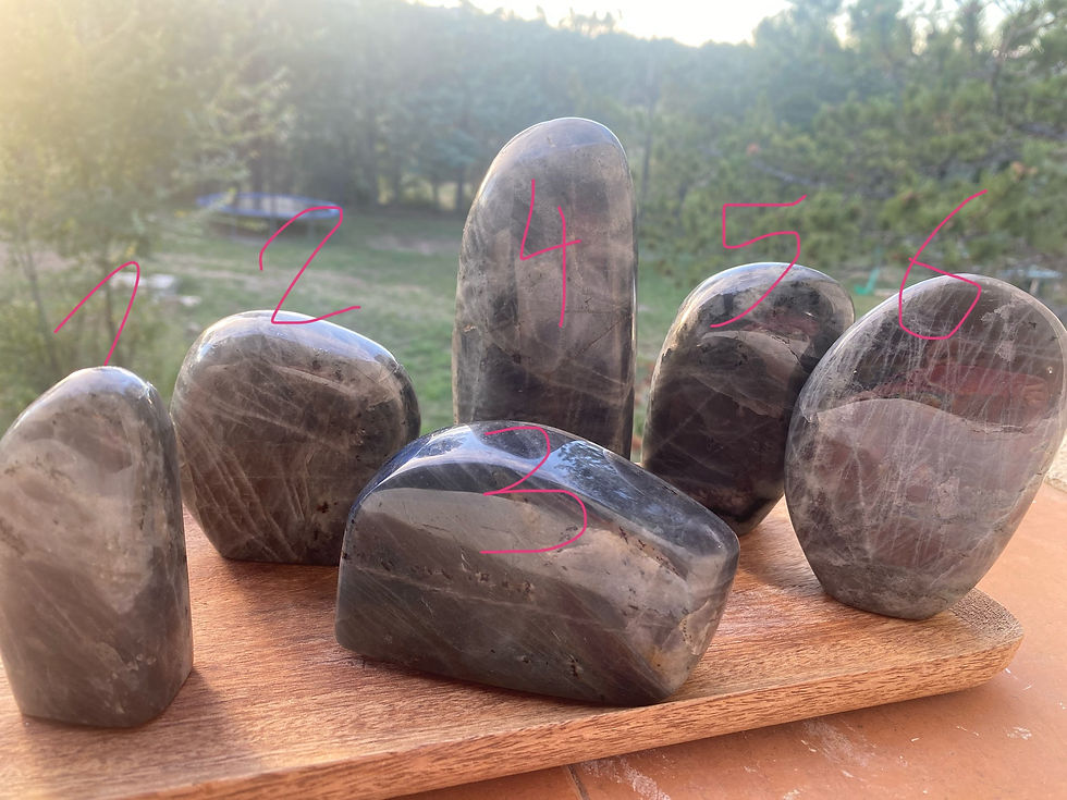 Labradorite Type Spectrolite Forme Libre