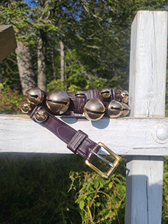 antique bells on brown leather strap, brass roller buckle on white hitching post.