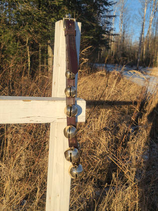 modern brass sleigh bells on new brown leather strap