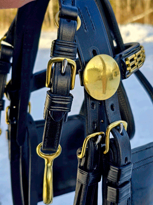 Gig bridle detail of gag hangers