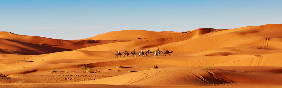 Adventure Tour