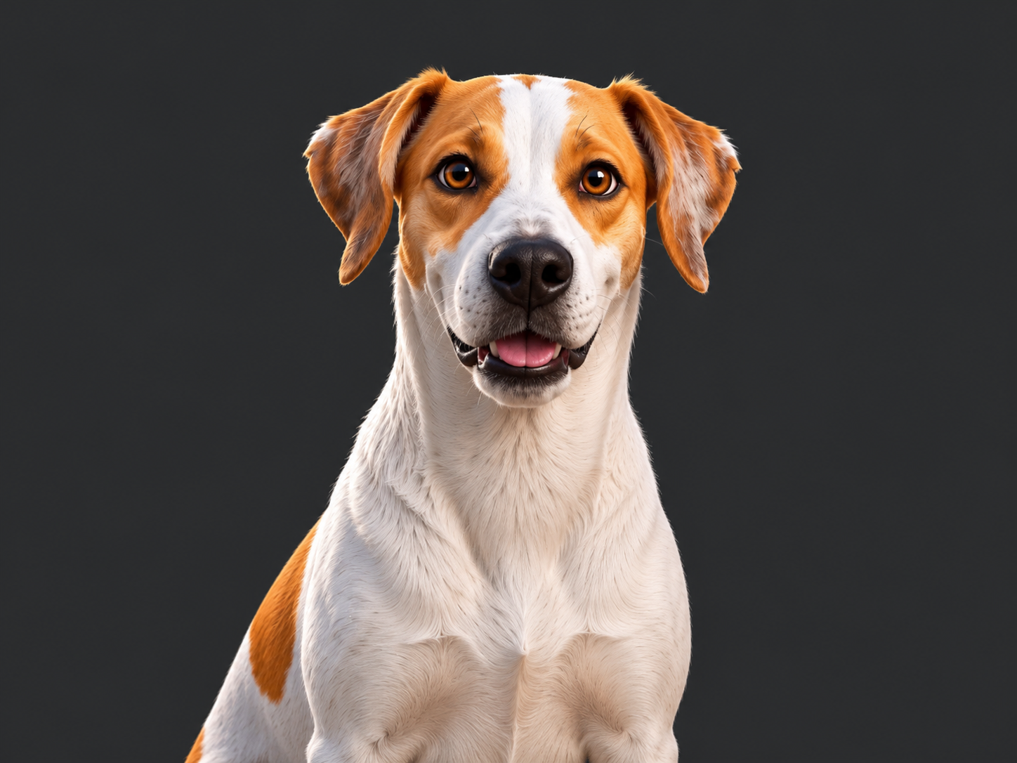 Universo visual dos mascotes SPS, imagem 1