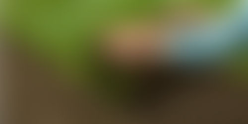 Monarch Lawn Services Llc