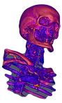 TSIM software simulating 3D bioprinting workflows and tissue assembly in real time
