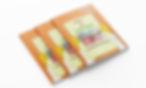 Doodle design - Sample orange cover