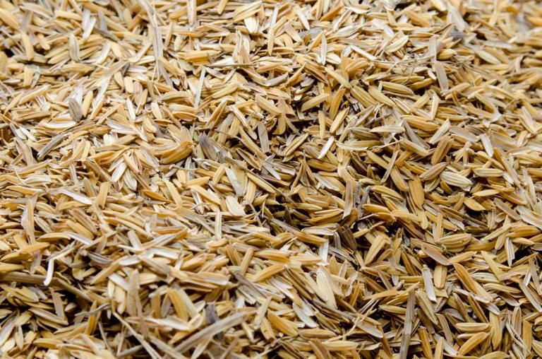 rice husk fiber