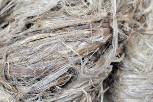 kenaf natural fiber