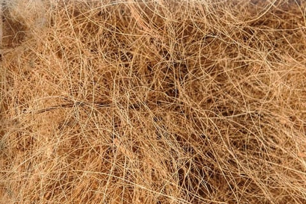 coconut natural fiber