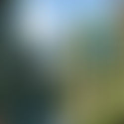 Strategic Green Building Management: เมื่อการบริหารอาคารเขียว คือการ Align Profit, People, Planet อย่างเป็นระบบ