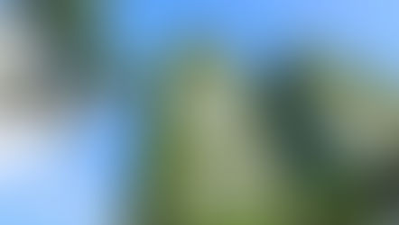 Strategic Decarbonization Planning: A Guide for Property Managers to Future-Proof Their Buildings