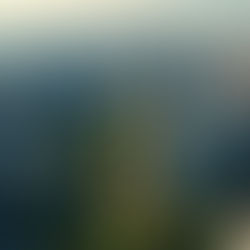 🌆 Amenities Define Competitiveness: เมื่อผู้เช่าในกรุงเทพฯ คาดหวังมากกว่าพื้นที่ทำงาน