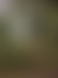 Dag 26