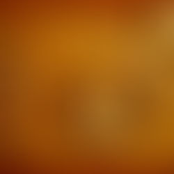 The Spiritual Earth｜灵性大地 