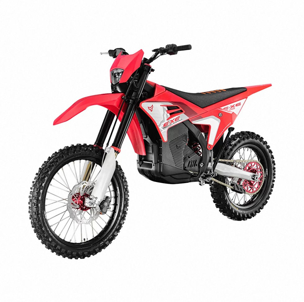 Arctic Leopard EXE-880 Electric Dirt Bike Motorcycle