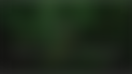 Message of the Resurrection