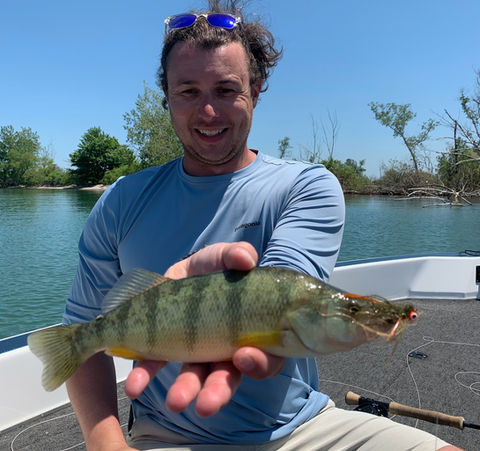 Lake Erie Perch caught on the fly