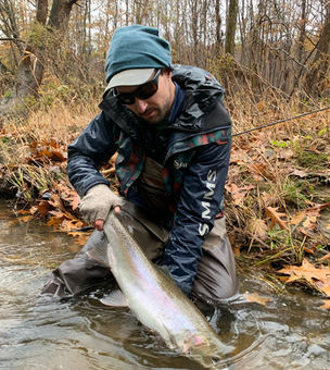 A shiny chrome fall run Great Lakes Migratory Trout.
