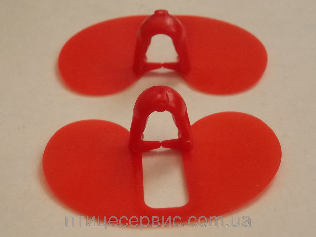 Очки для кур