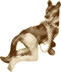 El Cadejos